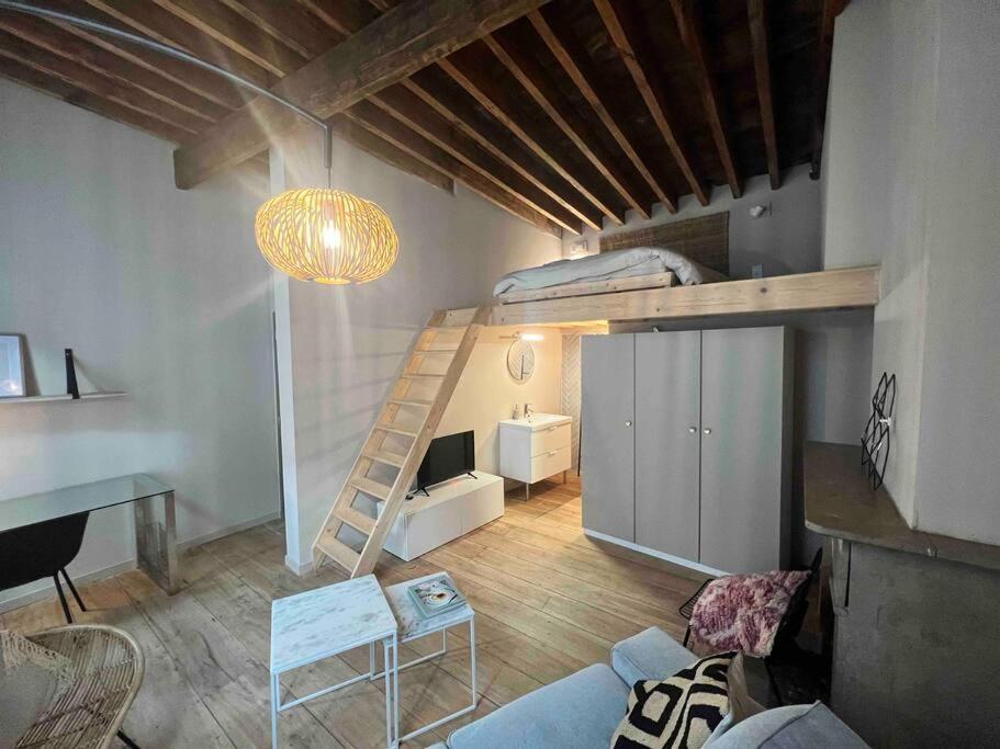 Maison Avec 4 & Rooftop En Plein Centre - Place Saint Paul Holiday home