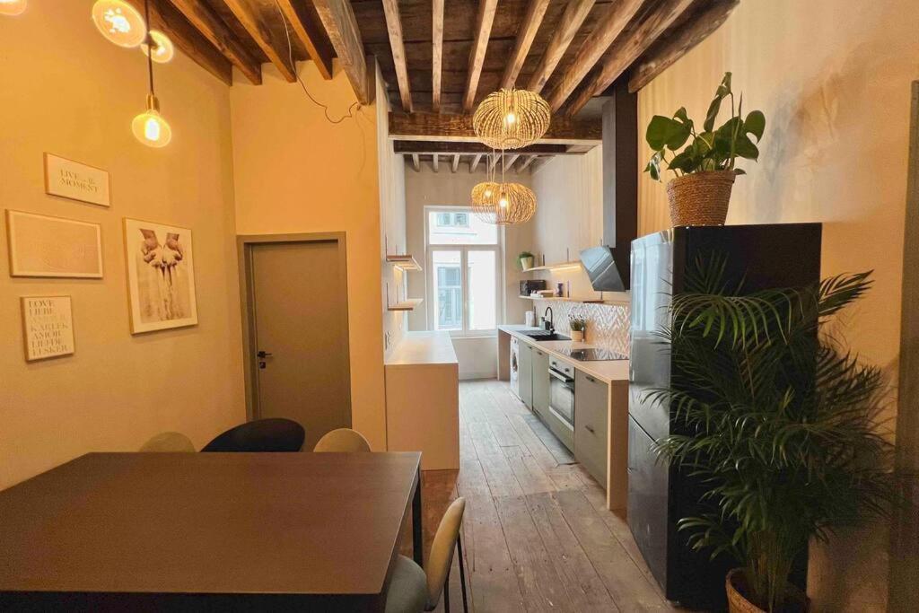 Maison Avec 4 & Rooftop En Plein Centre - Place Saint Paul Holiday home *